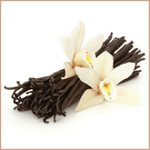 French Vanilla Fragrance Oil - Craftovator
